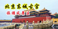 殴美操小嫩逼中国北京-东城古宫旅游风景区
